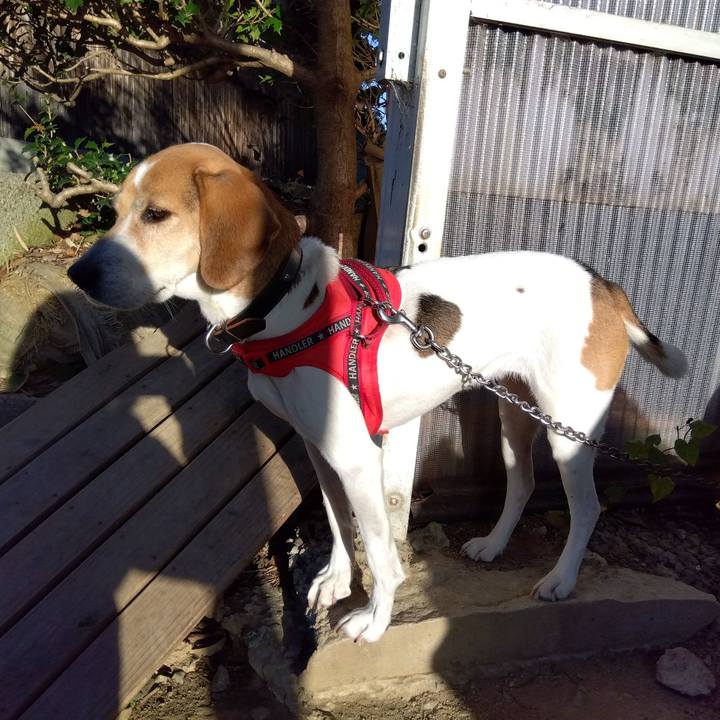 B1351ae8 523d 40c5 aac3 54d156e88560 1703080621067