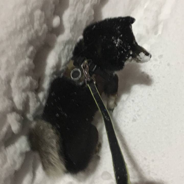 B13566e0 afcb 4b00 a0f8 41a10651890f 1516312384775