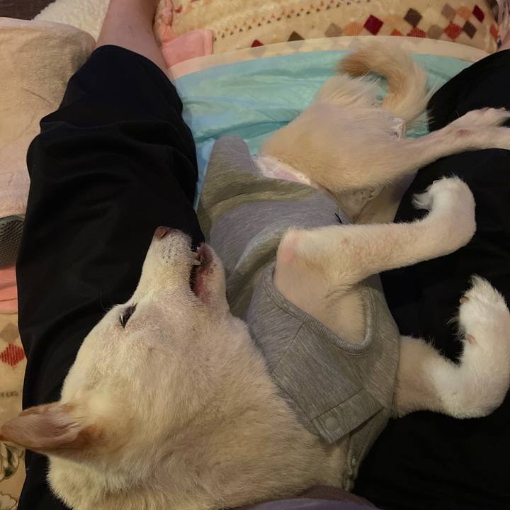 B1357cf4 3736 4517 81d0 3908bb0c343e 1670583166534