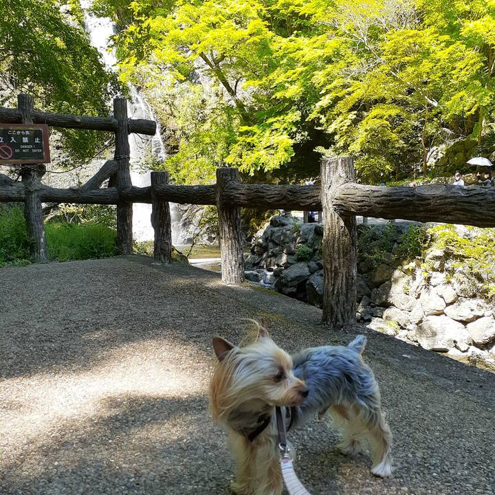 B1358b65 2851 4ac3 93ad 278a7e41283f 1588831963974