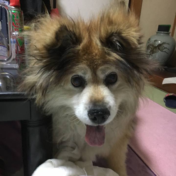 B13616d8 bbf9 474a b892 a48826747015 1561841905402