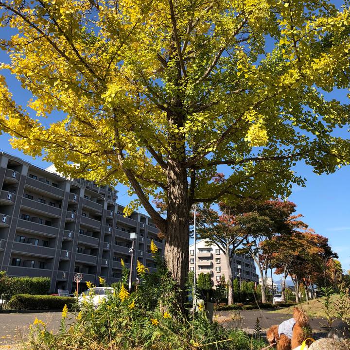 B136218a 88e4 450f ab38 31440f163d2e 1540294633658