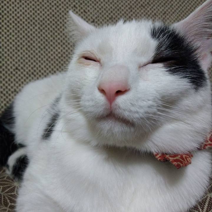 B136286f 9952 4d72 b5c5 aca225e37a8e 1519389474366