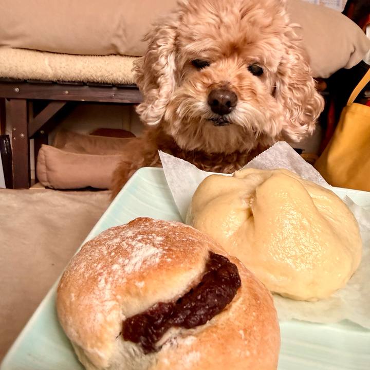 B136296c fbed 4ef3 863c 3723188183d8 1774152682991