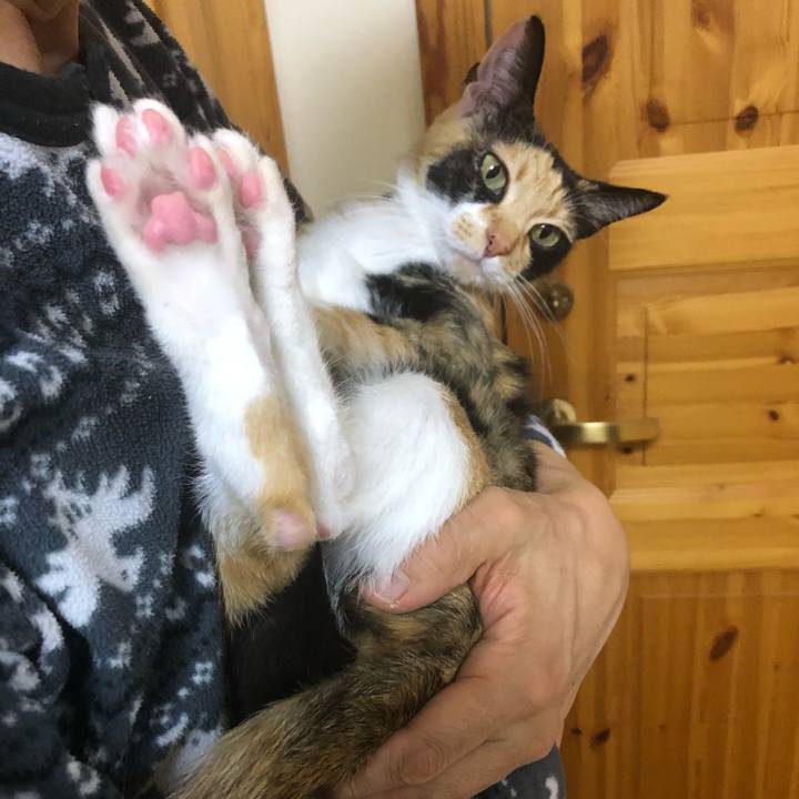 B1362cb3 6db4 45e9 ac2e 6289c81fda66 1581777714174