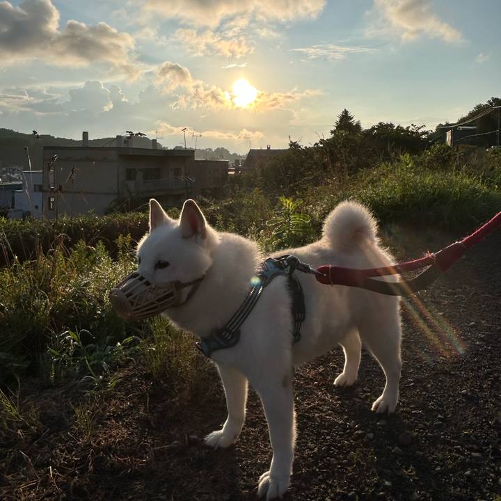 B1367593 ce8a 4a40 9069 93066cebda89 1755725719333