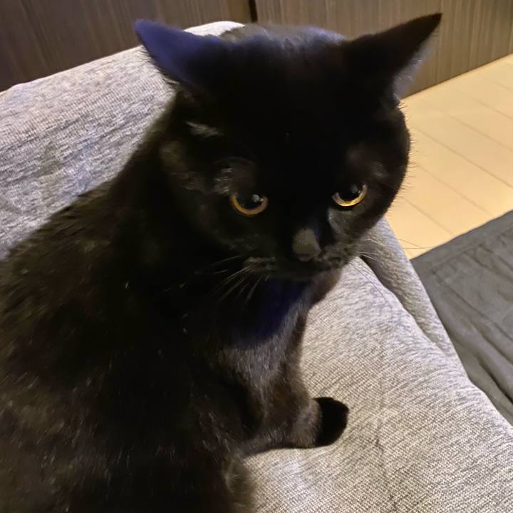 B1369c49 27e9 4f10 90b2 73a5baffe5dc 1743598819956