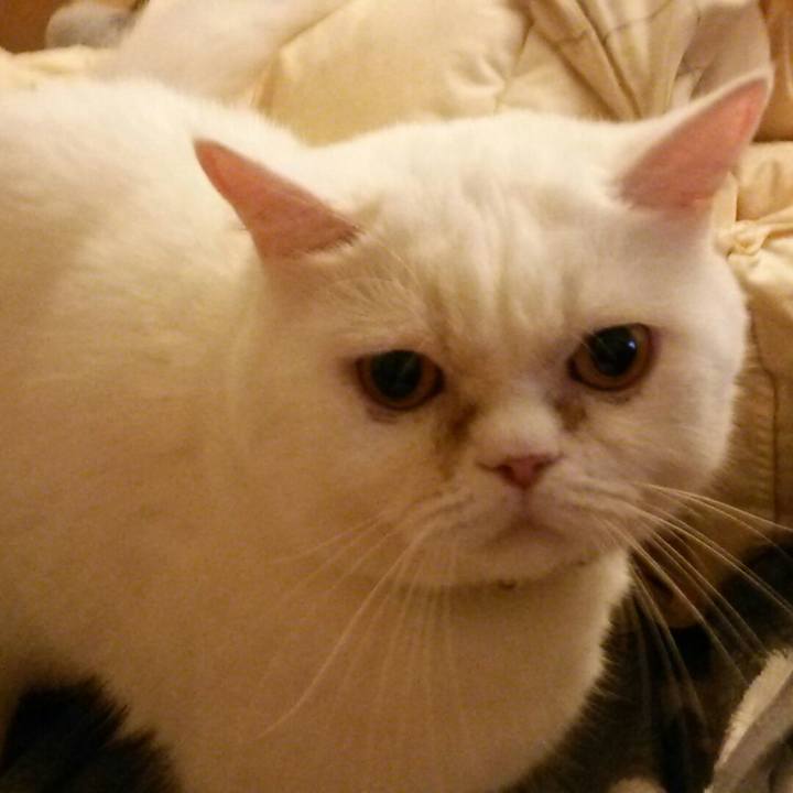 B136a6e1 d858 4ff6 bff1 774e62455d2e 1530617223020