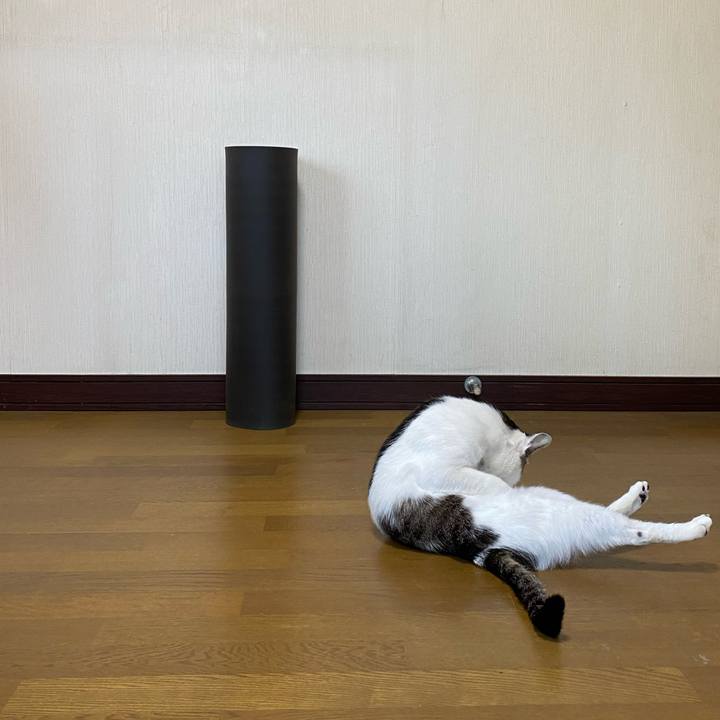 B136bdd8 4ced 4a31 a2d7 ccd9125d56ac 1621438566075