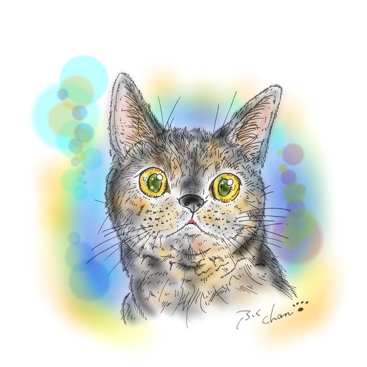 B136c607 5c89 4231 9d74 2524e04ac623 1586700151006