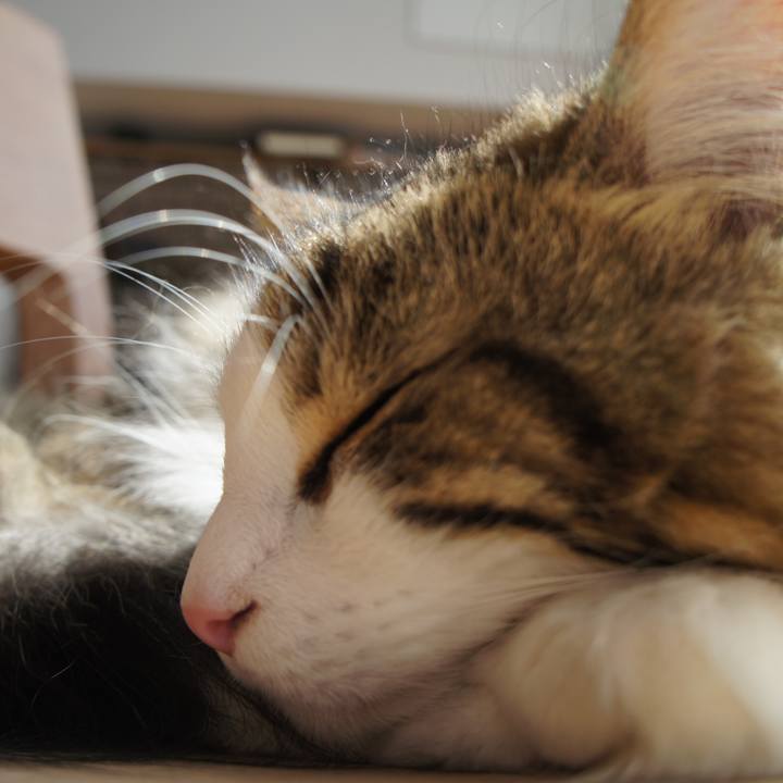 B136c8c5 01cb 4c96 9dd2 5026404a9594 1529213193030