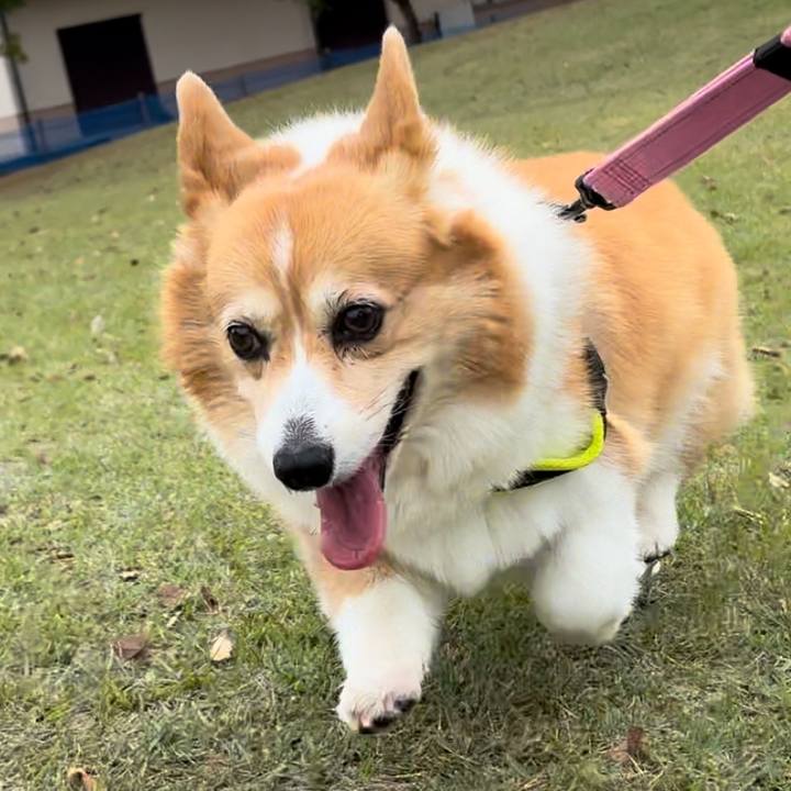 B136c8dc eaa1 48d7 932d a40cdfb1a6ee 1762310978882