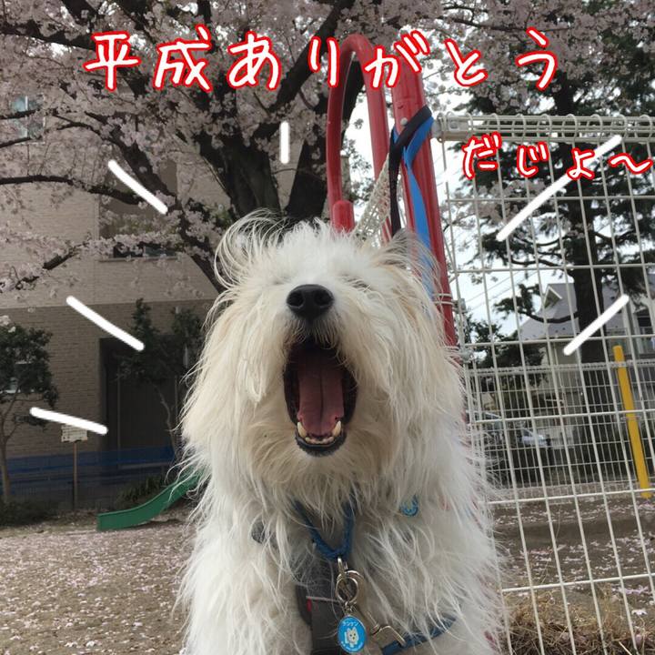 B137477f 7349 46c9 8fbd 3dccb3ddd9e1 1556597709737