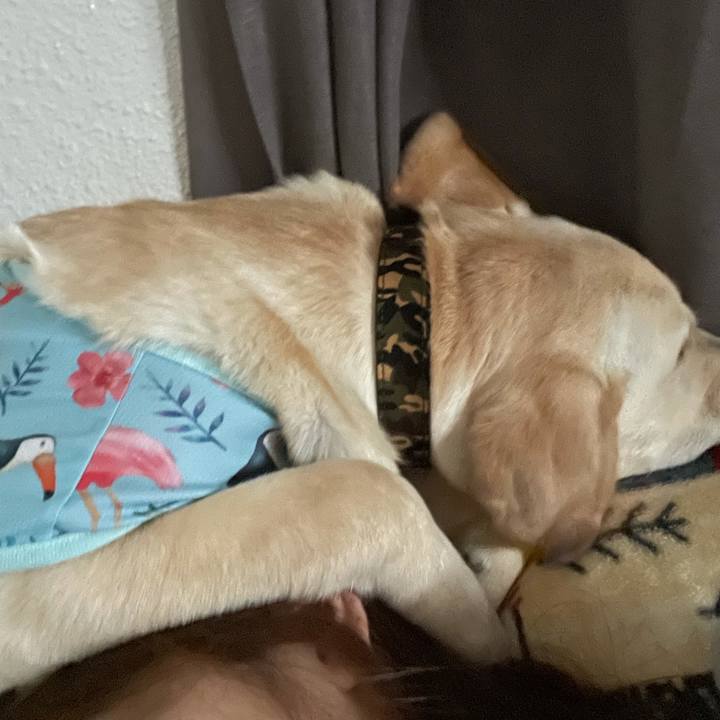 B1376d70 5ee3 442b 9eb5 90328baa08a2 1621813136003