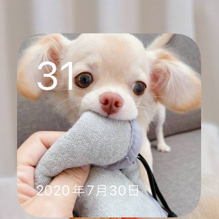 B1377850 bb0e 4883 b74e a7e2f6ce9e60 1659248890759