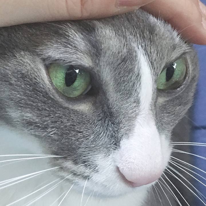 B1377f04 8a27 4f74 a6b9 1d5bffc8ebb2 1569124895883