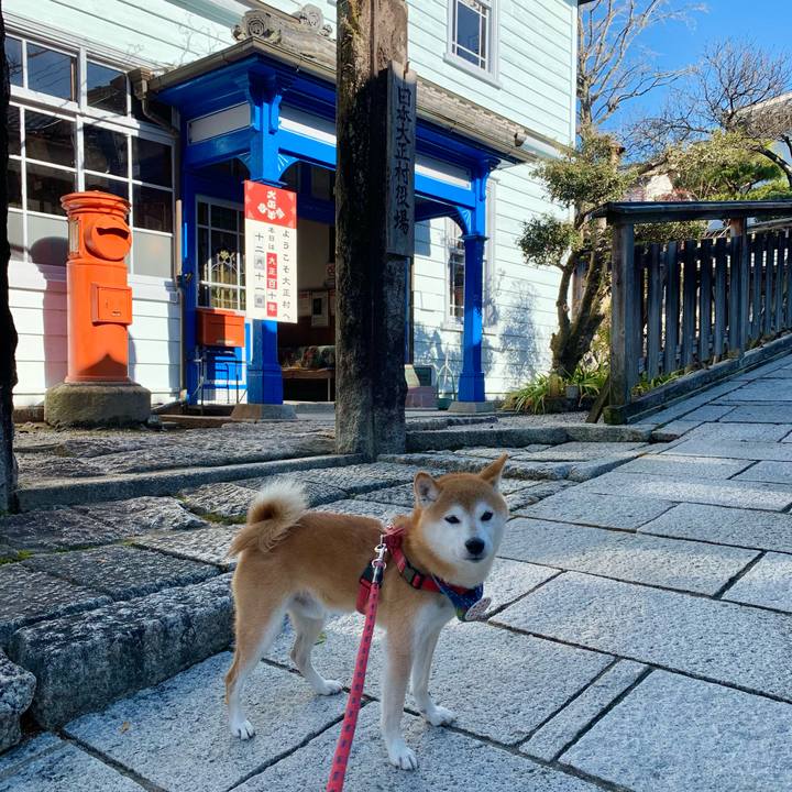 B1378637 2b9c 4f72 8256 32ee6469217f 1639210490271