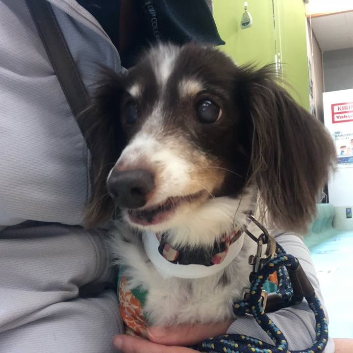 B137bd78 1426 46f1 8807 4c5eb6f54ed2 1597890549347