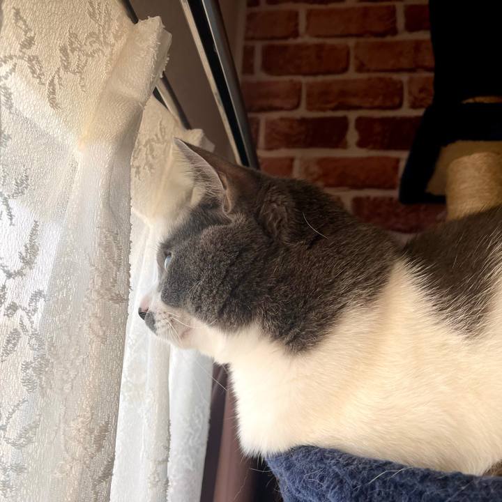 B137d099 aea3 4441 a95a 2281ad30251f 1668063414256