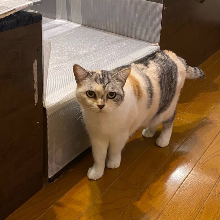 B137dd64 9fb1 4622 812a 653c04192707 1667595649374