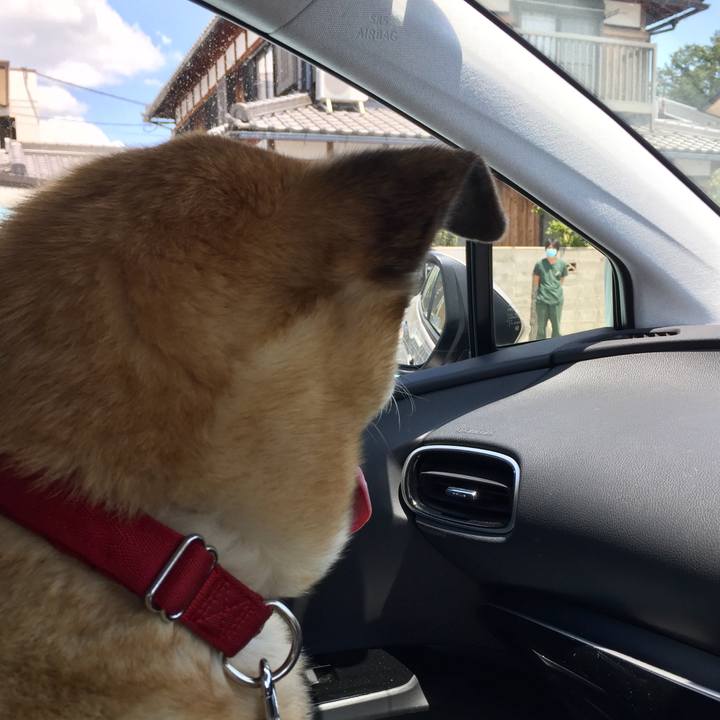 B137e559 ebc5 431d 8fc6 5ba66f750ab6 1588932447149