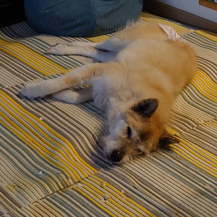 B1380d02 9405 4d5f 9999 3ccb71b3b8ec 1654385904436