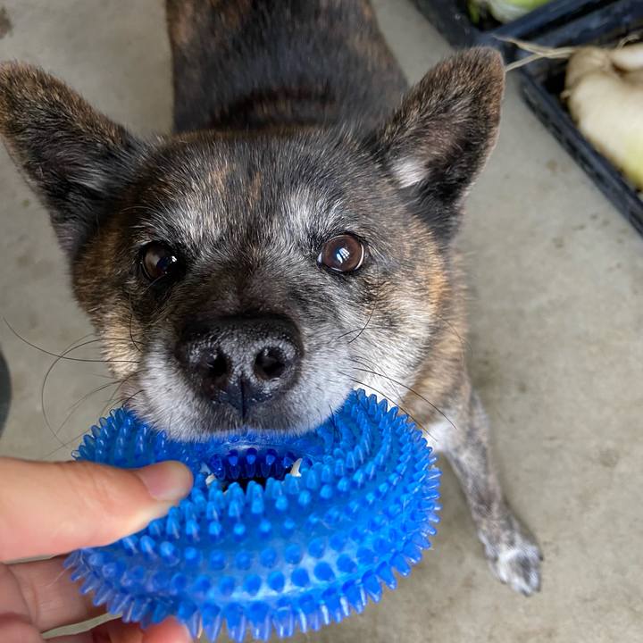 B13822dd 3673 4b11 8cb5 e9c5acedd053 1640836311586