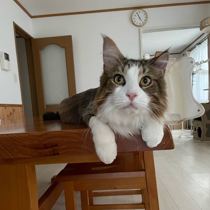 B138267e 10b7 4a66 96bc 52ca53aa0886 1658779161786