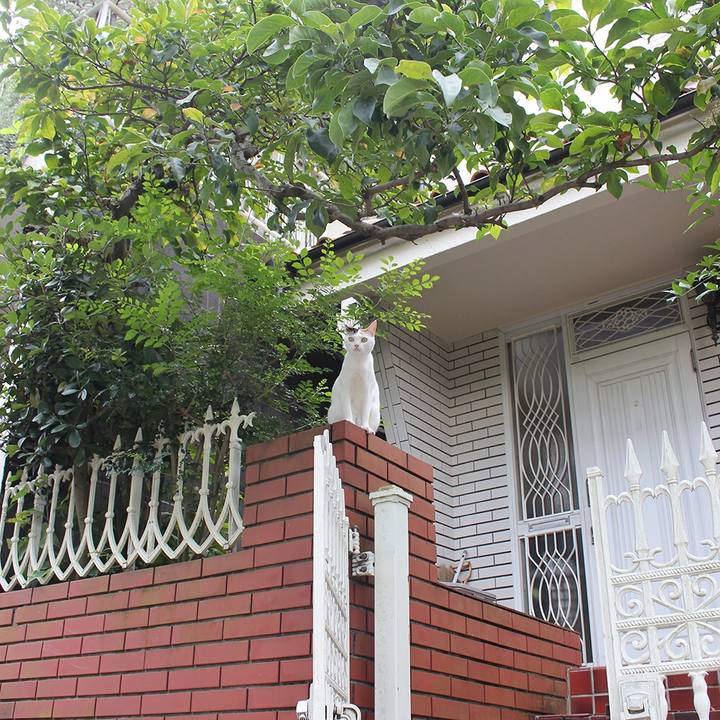 B138ae4d c3ad 45e4 8b75 9a13c2723f0f 1596346107940