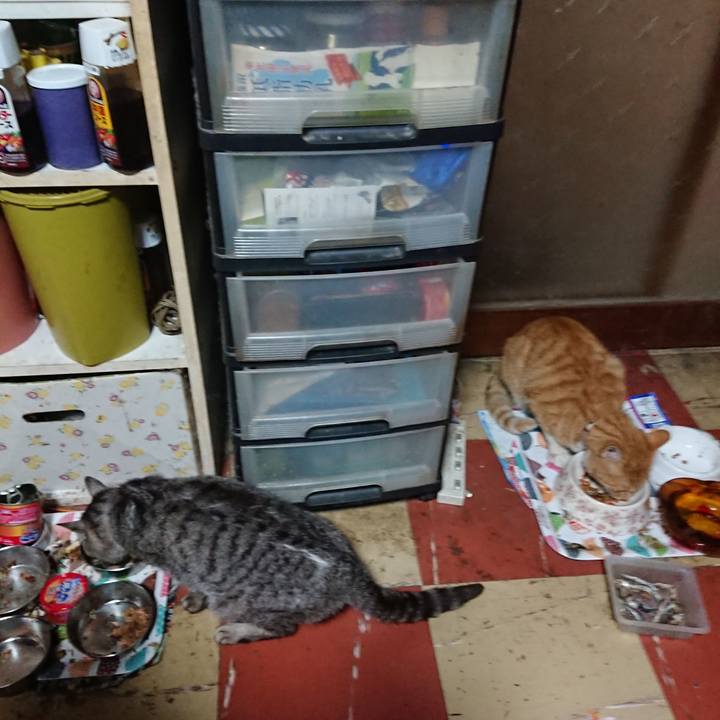 B138d43a 9717 4e25 b061 c30a4ec949a3 1593460386918