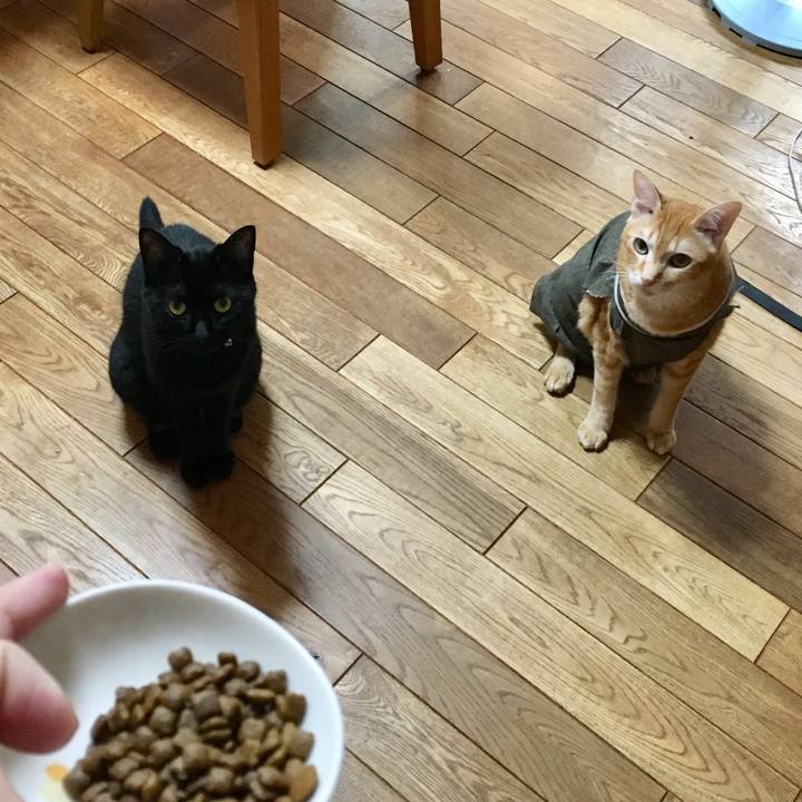 B1391ed8 278b 4b64 9f42 fb5c7271c4ae 1532862467652