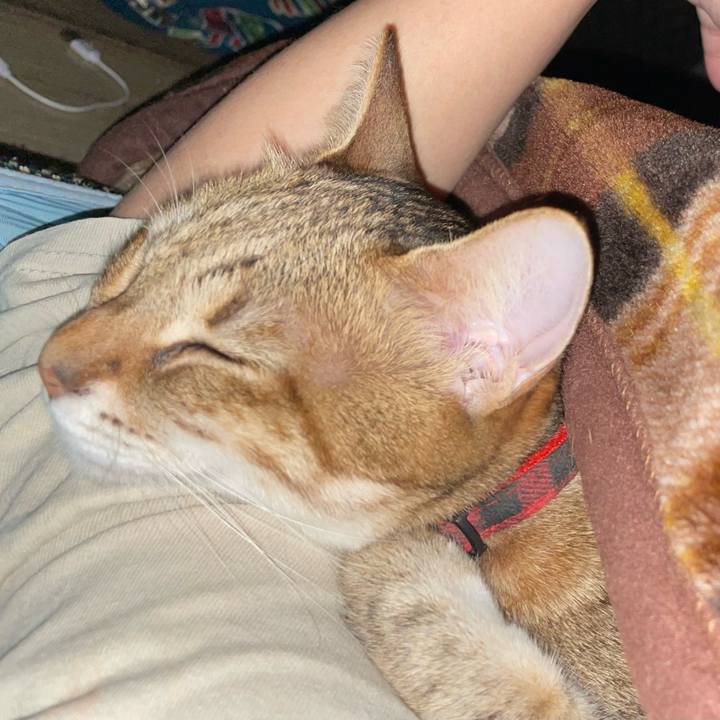 B139495f c99e 4935 a871 07c7f6594d86 1730983255756