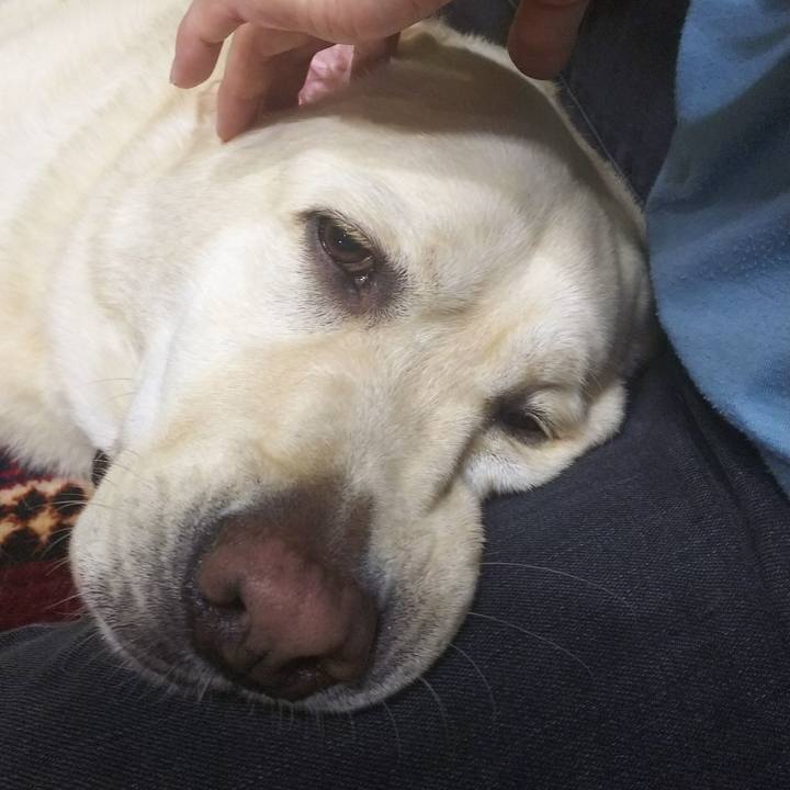 B1394fad c503 4d2c 9750 5ef3ce9e10ae 1568462645371