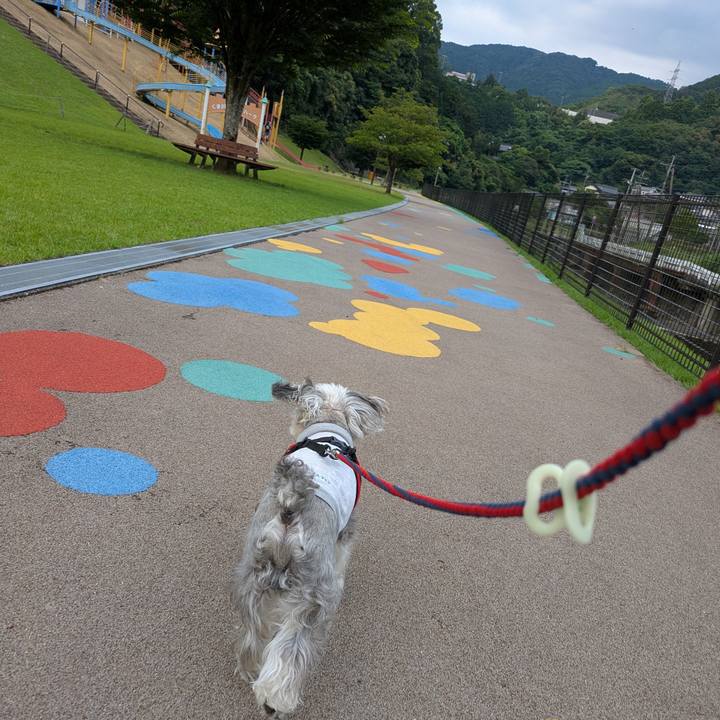 B13982ef ed1e 47c9 b64e 47408d7b84f1 1751186282297