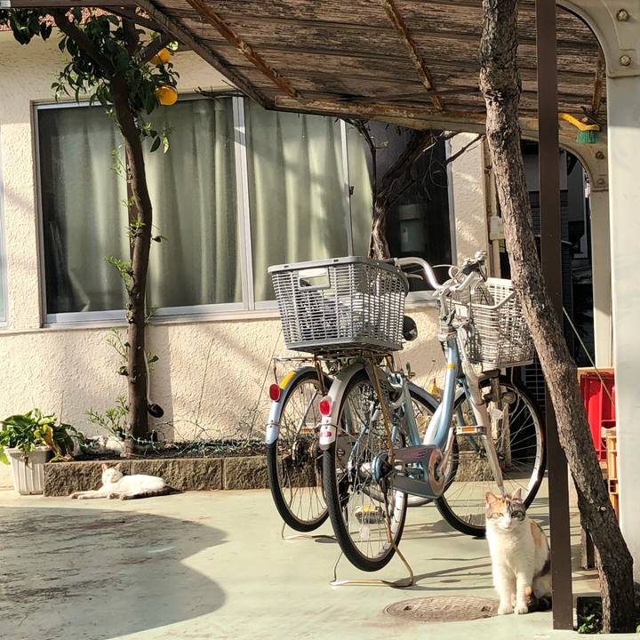 B139aa72 4d64 4b9d a2be 8ae61241bda1 1523441282335