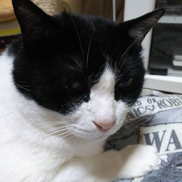 B139cab4 772b 4abf a55a 68d831ec7b2a 1528641070822