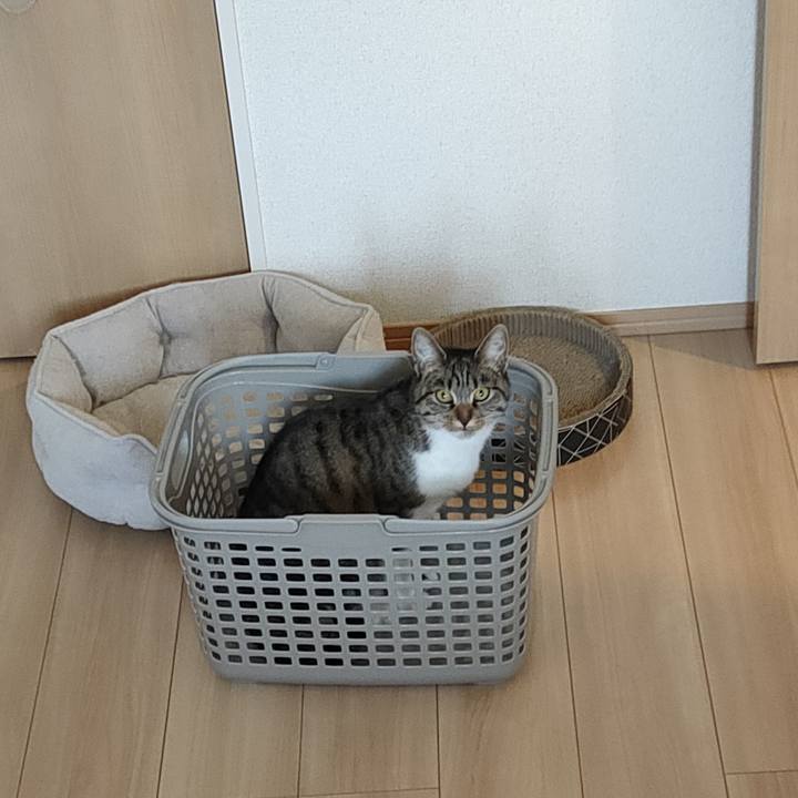 B139f616 7c9f 409e b1f7 486cd9229aaa 1681820551156