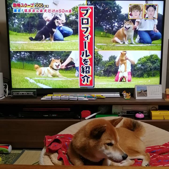 B13a4557 1ecf 4288 8316 43eac69ef91e 1627559651276