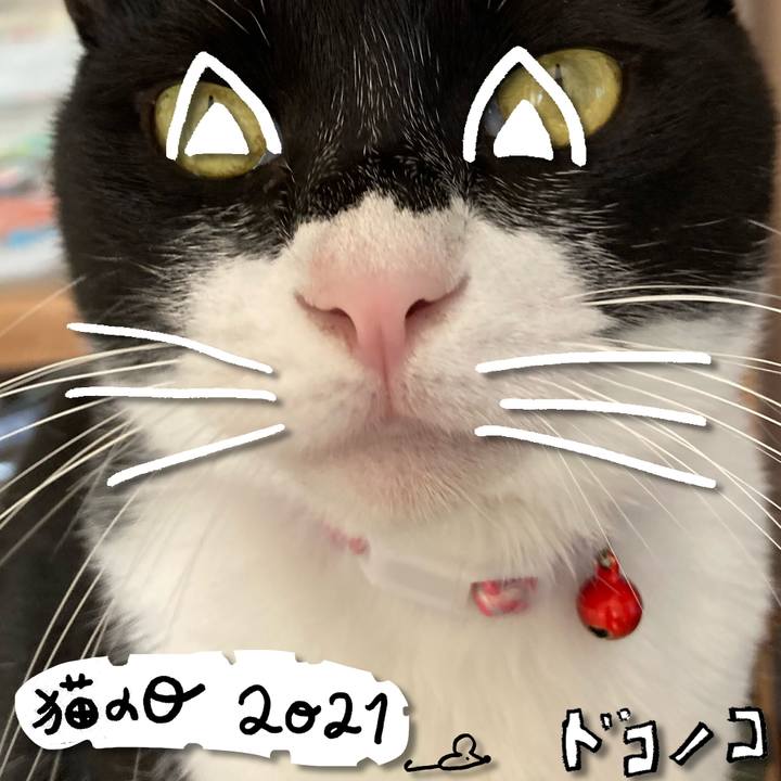 B13ab38b 74f0 465a 8b3f 14a46ce95f13 1613961996982