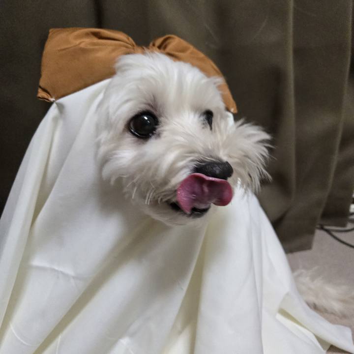 B13ac9e4 08dd 4dd5 911f dd74c20828c8 1760170597024