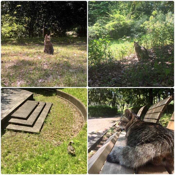 B13b1219 8966 4854 b9c5 bf479ada4e5e 1588062367688