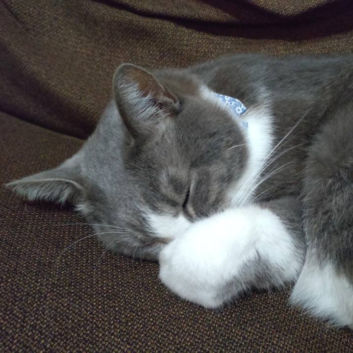 B13b46aa b27d 400b bd2c c13ffe723a02 1733310538266