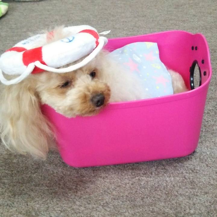 B13b5bd7 72c6 4695 ad64 8d2d6f746039 1534835385760