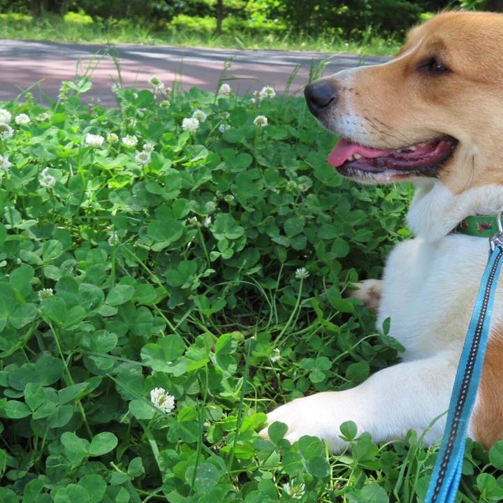 B13b701e 45e9 4512 954d c4fe31c54796 1620620564941