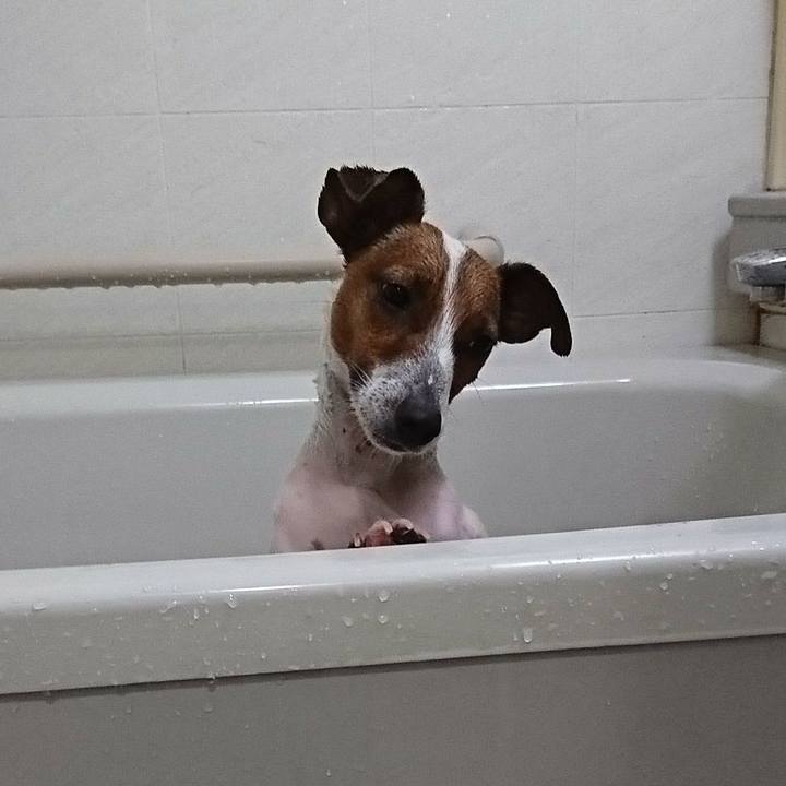 B13b7625 4416 4c15 a655 c3a0cc99c688 1588850439511