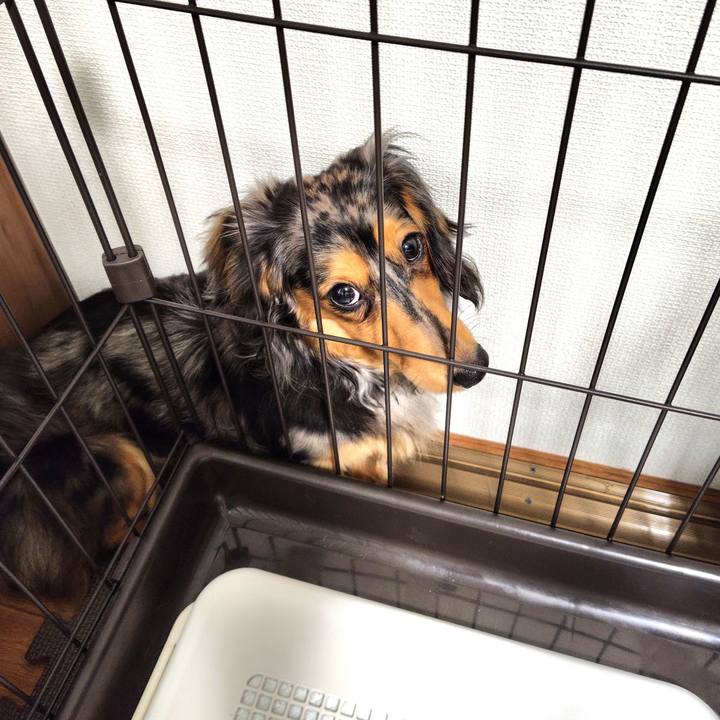 B13bc37a 80b4 4b25 85d2 162bf9bb4386 1714001139772