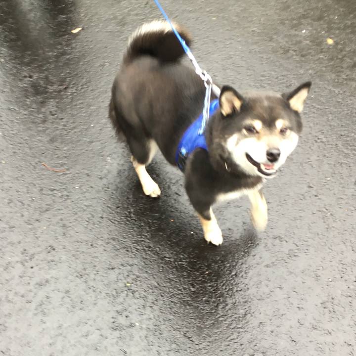 B13be7f8 28f3 48e8 b14c d592b578e7df 1553578336510