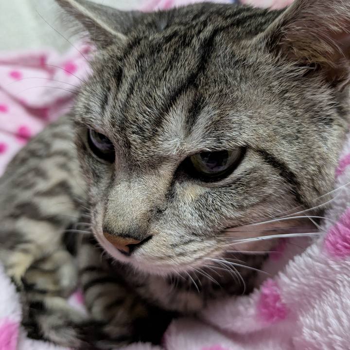 B13c2aa9 4731 47a4 b2ea 056873b3ecf2 1741274037167