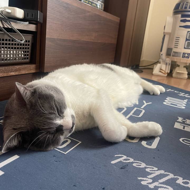 B13c4c87 6b27 46f2 bfbf 1ad105e15bb2 1726288231682