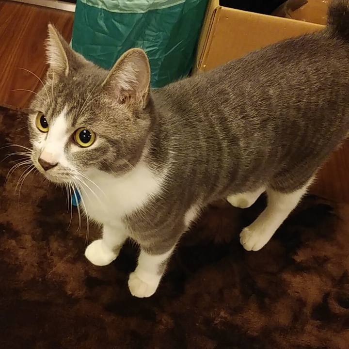 B13c4e74 2ed7 4299 a40b 9e9d94be4dbc 1573910726141